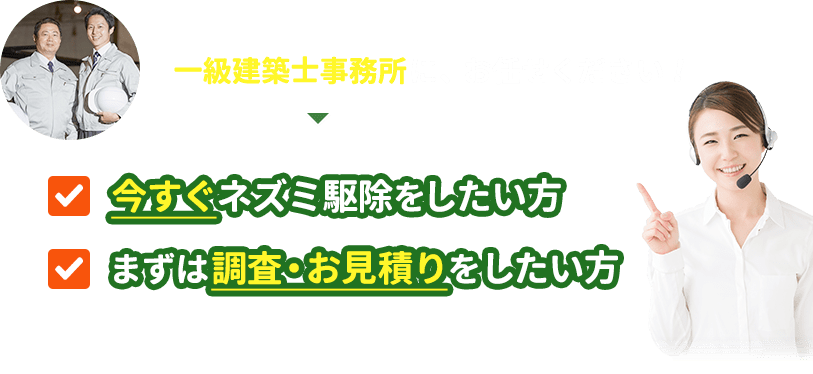今すぐネスミ駆除をしたい方、まずは調査・お見積りをしたい方