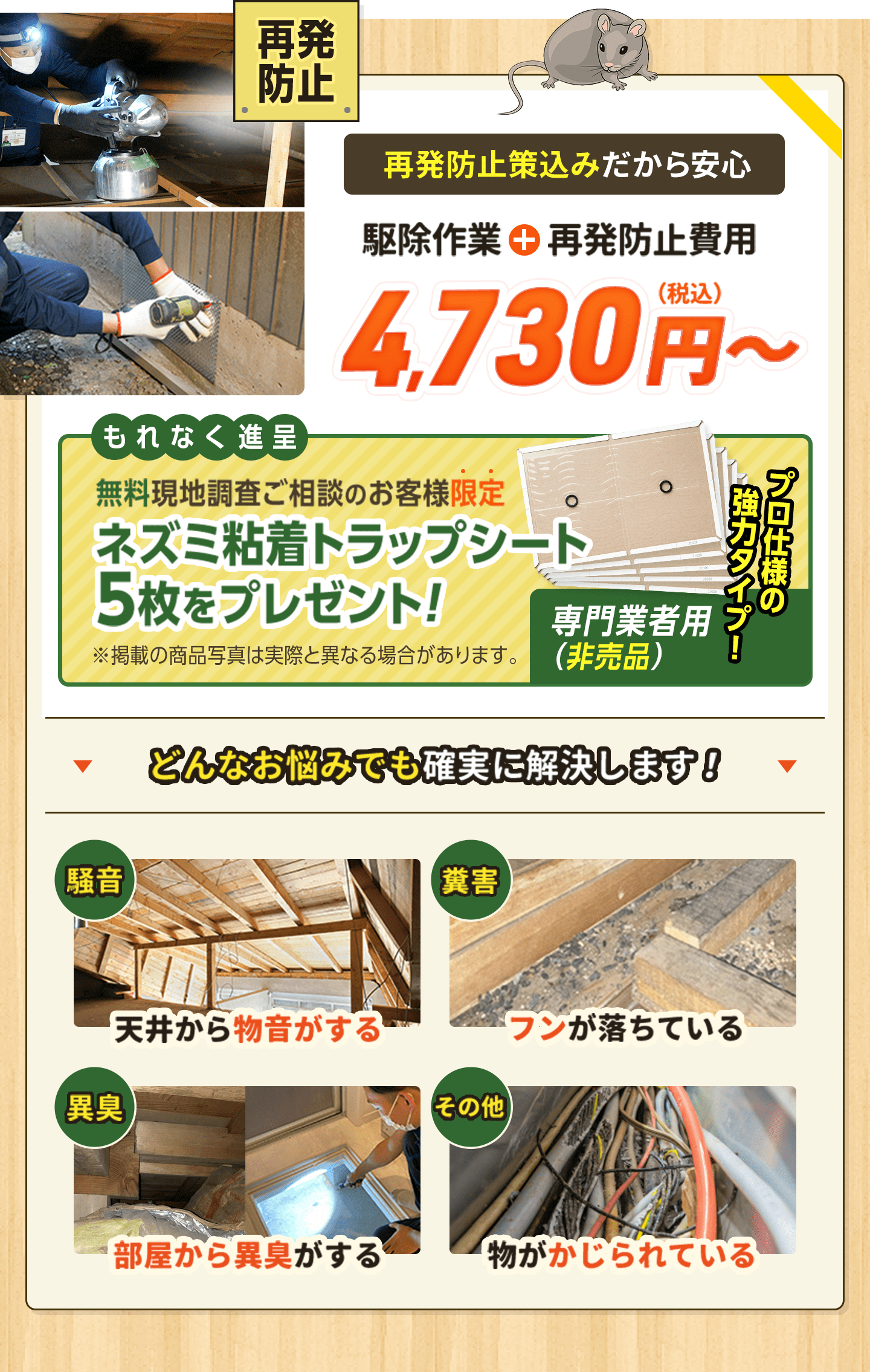 駆除作業＋再発防止費用4,730円（税込）から。無料現地調査ご相談のお客様限定でネズミ粘着トラップシート5枚をプレゼント。